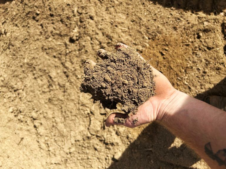 Screened Topsoil - Total Materials LLC